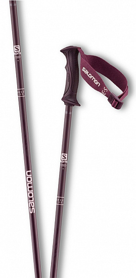 Горнолыжные палки Salomon Angel S3 Fig - Фото 1 большая