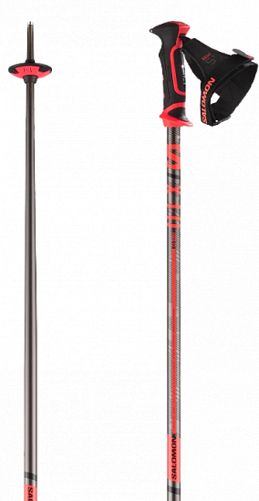 Горнолыжные палки Salomon X10 Ergo S3 Black/Red - Фото 1 большая