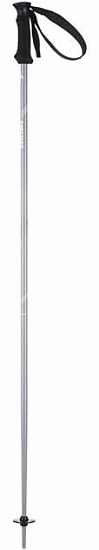 Горнолыжные палки Head Multi SX Grey White - Фото 1 большая