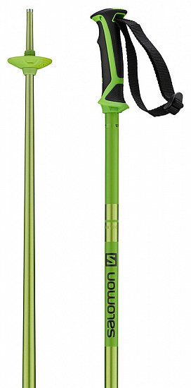 Горнолыжные палки Salomon Arctic Green - Фото 1 большая