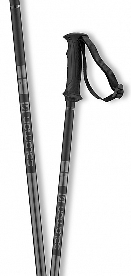 Горнолыжные палки Salomon Arctic Black - Фото 2 большая
