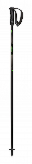Горнолыжные палки Fischer Pro Carbon - Фото 1 большая