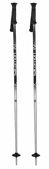 Горнолыжные палки Salomon Rental Anodized Adult Alu - Фото 1 большая