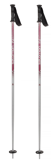 Горнолыжные палки Salomon Rental Anodized Adult Alu - Фото 5 большая