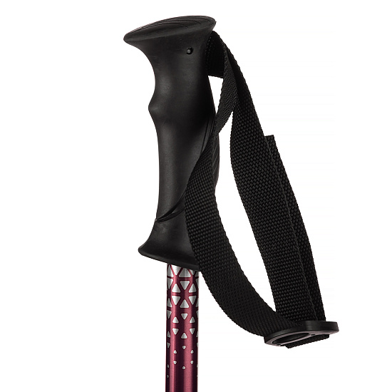 Горнолыжные палки Salomon Rental Anodized Adult Alu - Фото 8 большая