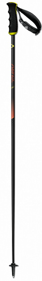 Горнолыжные палки Fischer RC4 Carbon - Фото 1 большая