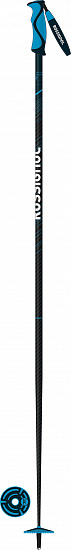 Горнолыжные палки женские Rossignol Electra Carbon - Фото 1 большая