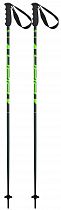Горнолыжные палки Elan Speedrod Green