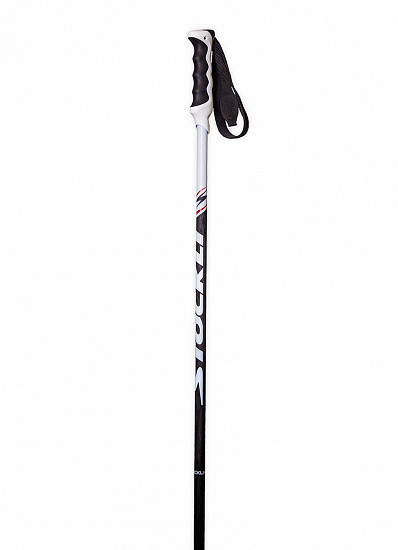 Горнолыжные палки Stockli Carbon Race - Фото 1 большая
