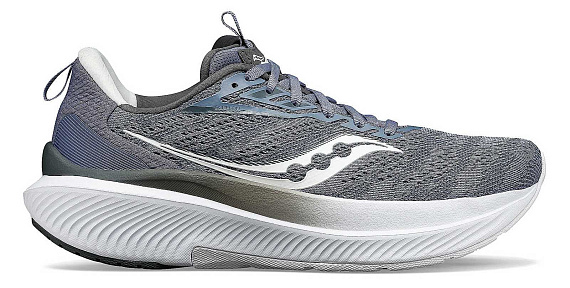 Кроссовки женские Saucony Echelon 9 Iris/Carbon - Фото 1 большая