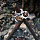Диск с цепочкой Naturehike Tripod Hanger Titanium - Фото 2 малая