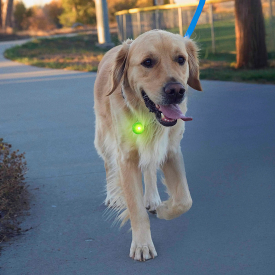Светодиодный брелок Nite Ize SpotLit Rechargeable Collar Light Зелёный - Фото 3 большая