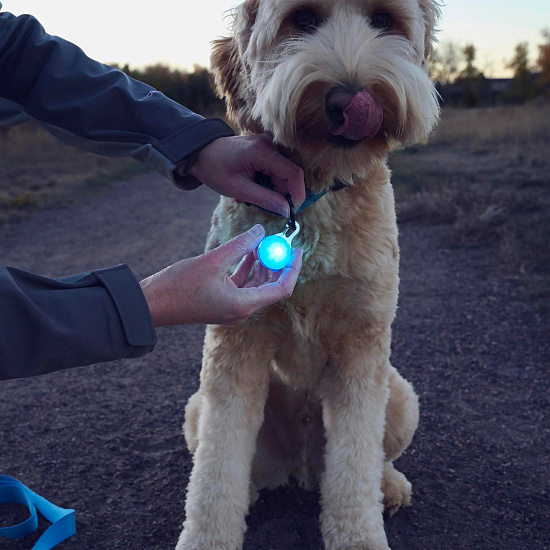 Светодиодный брелок Nite Ize SpotLit Rechargeable Collar Light Синий - Фото 3 большая