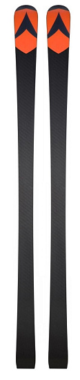 Горные лыжи детские Dynastar Speed Team GS (R20 Pro) - Фото 2 большая