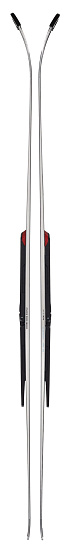 Горные лыжи Kastle Rx12 Sl Factory Fis Soft + Plate Pivot - Фото 2 большая