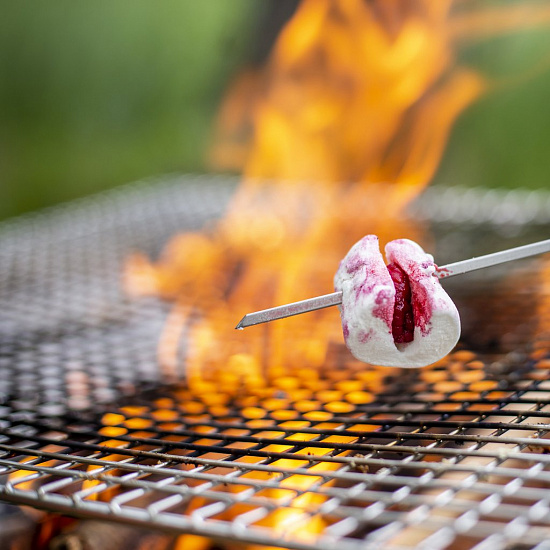 Мангал Primus Kamoto OpenFire Pit - Фото 8 большая