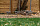 Печь Winnerwell Woodlander Small - Фото 4 малая