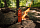 Зажигалка Exotac Titanlight Orange - Фото 7 малая