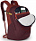 Рюкзак Osprey Quasar 28 Zircon Red - Фото 4 малая