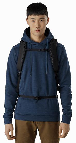 Рюкзак Arcteryx Arro 22 Carbon Copy - Фото 4 большая