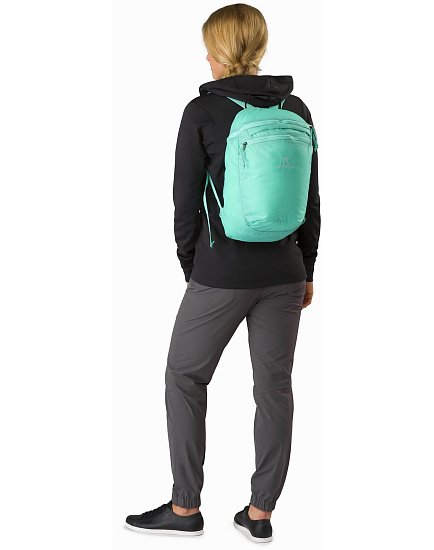 Рюкзак Arcteryx Index 15 Bushwhack - Фото 5 большая