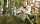 Рюкзак Fjallraven Kanken Laptop 13"  Deep Forest - Фото 11 малая