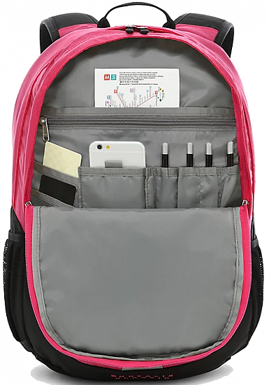 Рюкзак The North Face Borealis Classic Mr. Pink/ Black - Фото 7 большая