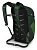 Рюкзак Osprey Daylite Plus Green Belt/Green Canopy - Фото 2 малая