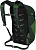 Рюкзак Osprey Daylite Plus Green Belt/Green Canopy - Фото 12 малая