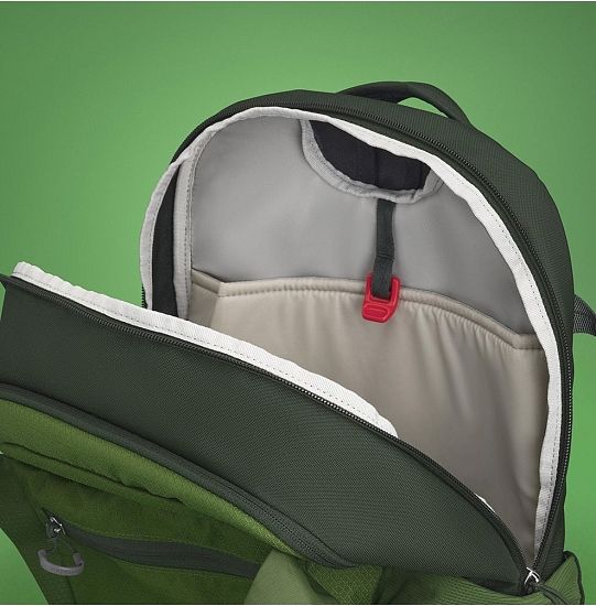 Рюкзак Osprey Daylite Plus Green Belt/Green Canopy - Фото 5 большая