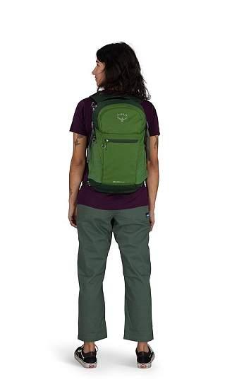 Рюкзак Osprey Daylite Plus Green Belt/Green Canopy - Фото 11 большая