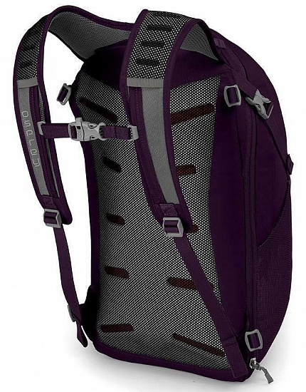 Рюкзак Osprey Daylite Travel Amulet Purple - Фото 2 большая
