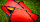 Палатка Hilleberg Soulo Red - Фото 7 малая