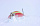 Палатка Helsport Svalbard High Camp 5 Red/Yellow - Фото 15 малая