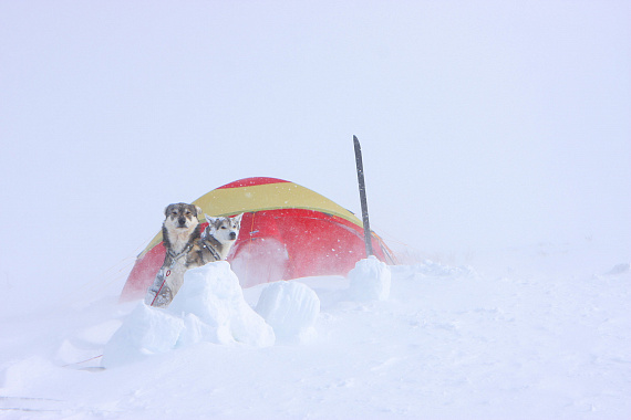 Палатка Helsport Svalbard High Camp 5 Red/Yellow - Фото 15 большая