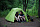 Палатка Naturehike Cloud Up 3 20D Forest Green - Фото 4 малая