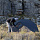 Палатка Naturehike Mongar Ultralight 2 (Integrated version) 210T Navy Blue - Фото 4 малая
