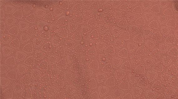 Палатка Robens  Pioneer 3EX - Фото 3 большая