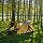 Палатка Naturehike Butterfly Yellow/Brown - Фото 5 малая