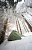 Палатка Nordisk Svalbard 1 PU Tent Green - Фото 3 малая