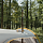 Палатка Naturehike Kota 6 Light Brownish Gray - Фото 5 малая