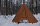 Палатка Kailas Fairyland 3P Camping Inca Yellow - Фото 4 малая