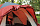 Палатка Big Agnes Flying Diamond 6 - Фото 49 малая