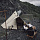 Палатка Naturehike Ranch 8 Quicksand Gold - Фото 9 малая