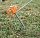 Колышки Naturehike Camping Iron 2шт Black - Фото 2 малая