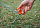 Колышки Naturehike Camping Iron 2шт Black - Фото 3 малая