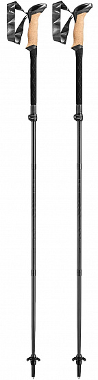 Палки треккинговые Leki Black Series FX Carbon Black/Naturalcarbon - Фото 1 большая