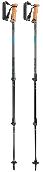 Треккинговые палки Leki Legacy Gunmetal/Petrol/Dark Anthracite - Фото 1 большая