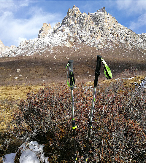 Треккинговая палка Naturehike St06 First Snow Moonlight Silver - Фото 5 большая