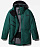 Куртка мужская The North Face Brigandine Evergreen/Tnf Black - Фото 2 малая